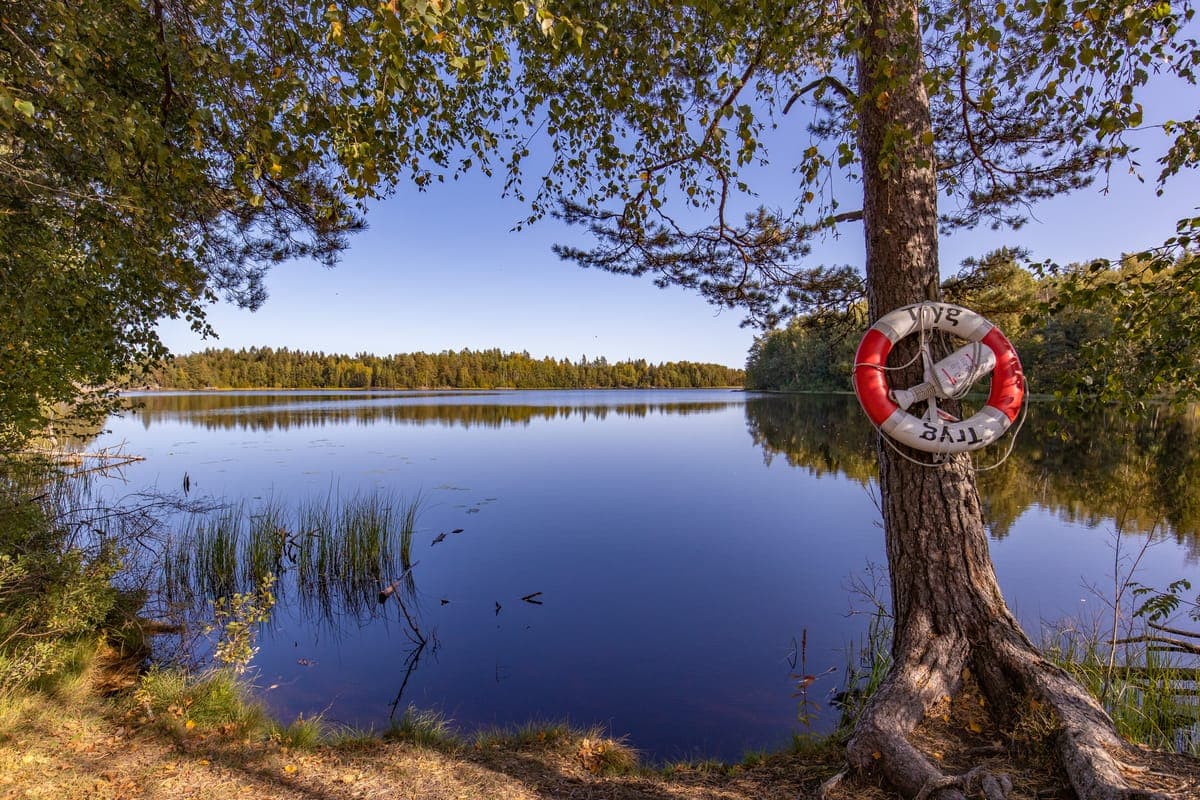Et bilde som er lagt til i innlegget.
